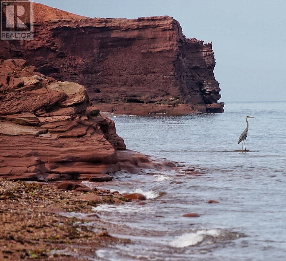8519 Route 14, Campbellton, Prince Edward Island  C0B 1E0 - Photo 10 - 202516452