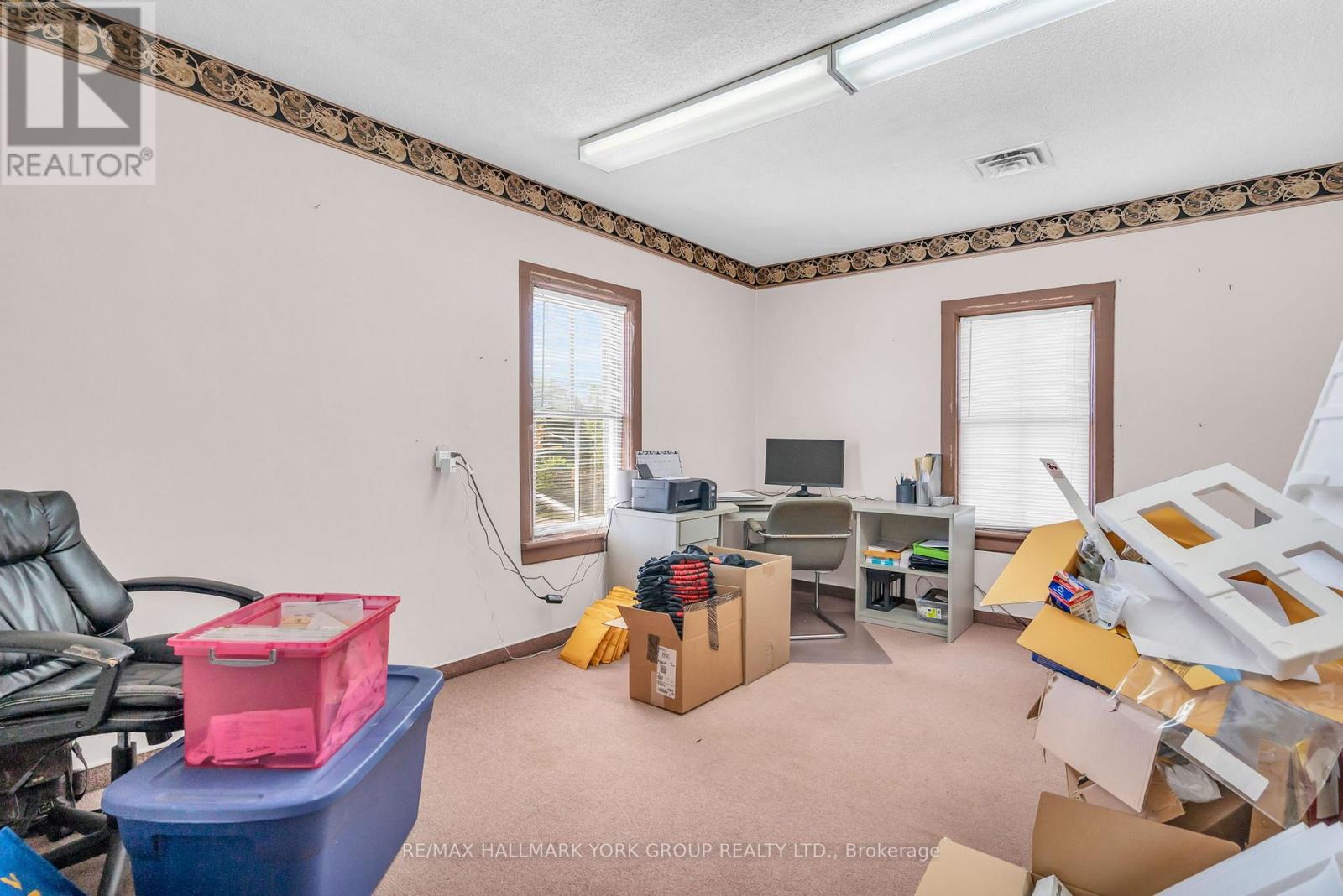 163 High Street, Georgina, Ontario  L0E 1R0 - Photo 29 - N12257671