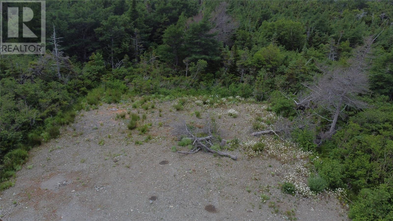 6 Wysiwyg Road, Mcdougall's, Newfoundland & Labrador  A0M 1J0 - Photo 9 - 1281531