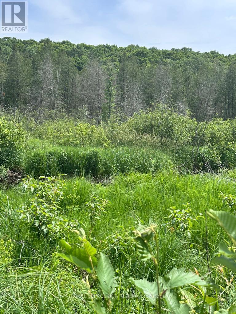 0 Pt Lt 6 Con 9, Highlands East, Ontario  K0M 1R0 - Photo 2 - X12260659