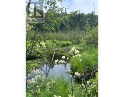 0 PT LT 6 CON 9, Highlands East, Ontario