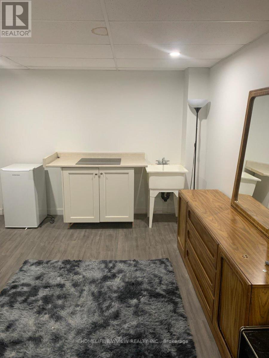 221 Harding Park Street N, Newmarket, Ontario  L3Y 0E3 - Photo 22 - N12260767