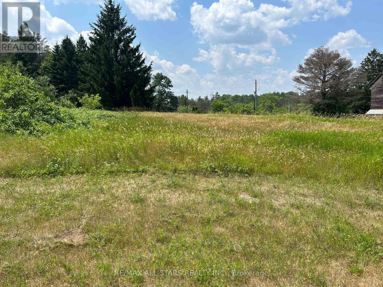 2,4,6 THOMAS STREET, Kawartha Lakes, Ontario