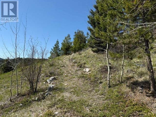 4158 Princeton Summerland Road, Princeton, British Columbia  V0X 1W0 - Photo 33 - 10346230