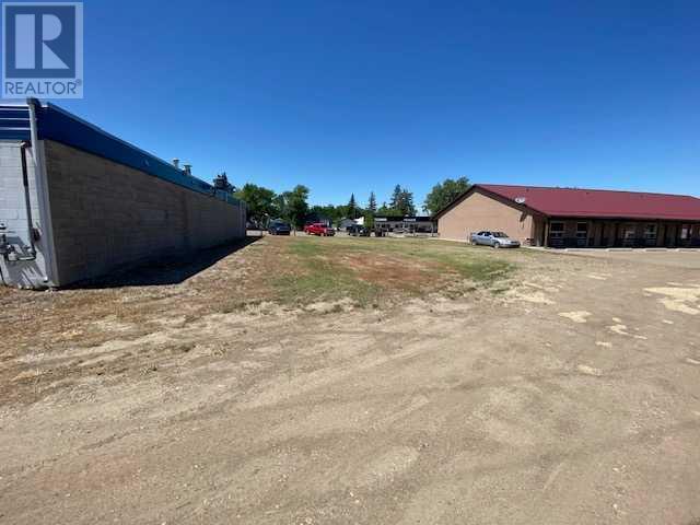 117 Centre Street, Duchess, Alberta  T0J 0Z0 - Photo 11 - A2236545
