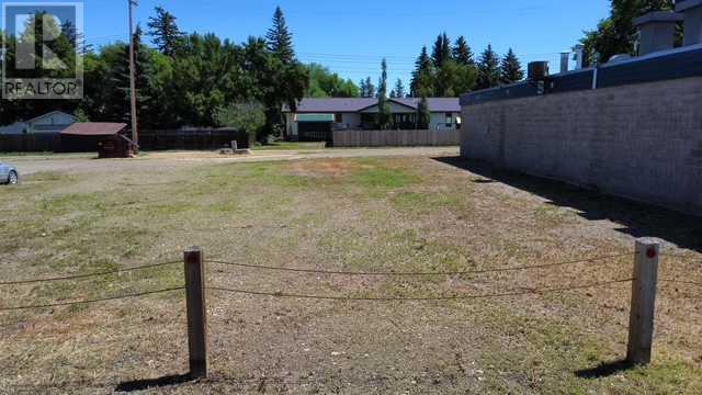 117 Centre Street, Duchess, Alberta  T0J 0Z0 - Photo 4 - A2236545