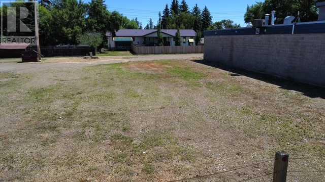 117 Centre Street, Duchess, Alberta  T0J 0Z0 - Photo 5 - A2236545