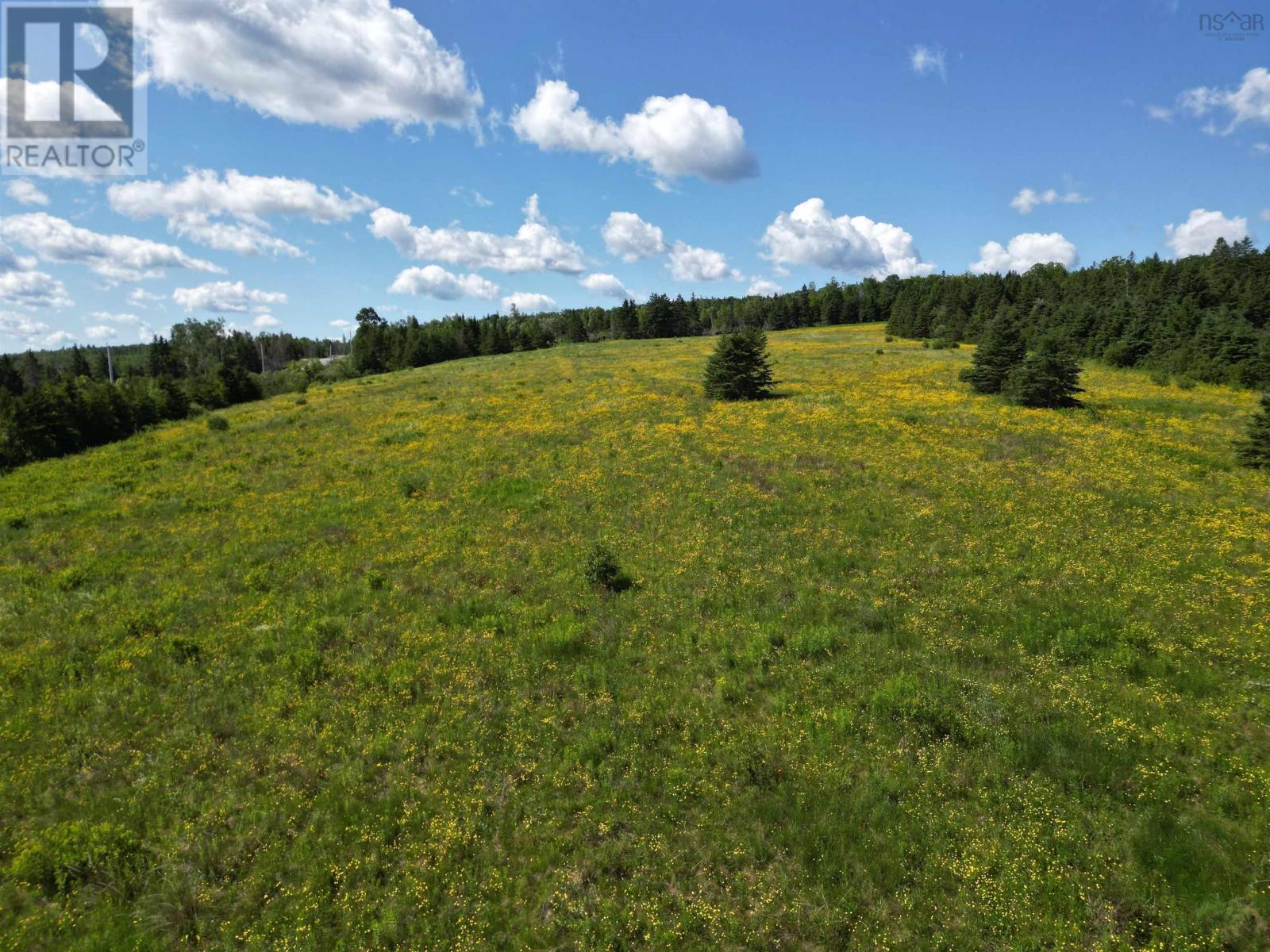 Lot 11-1 Gairloch Road, New Lairg, Nova Scotia  B0K 2A0 - Photo 8 - 202516505
