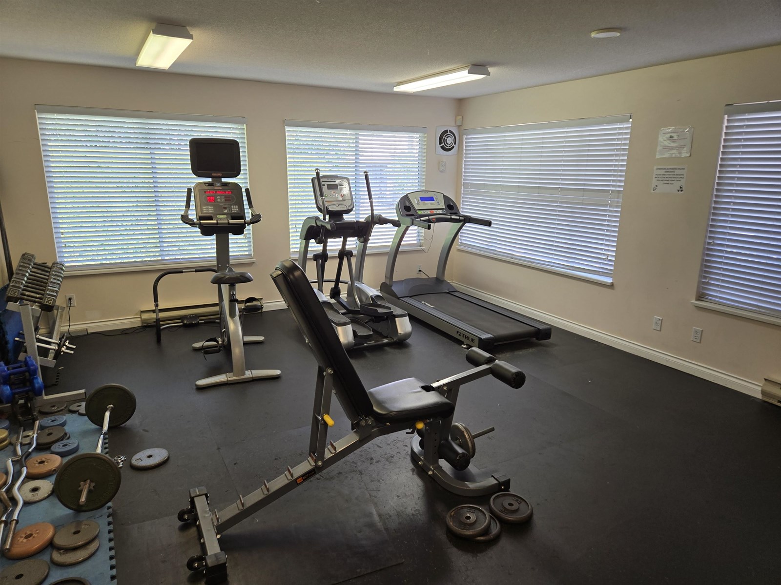 9 7955 122 Street, Surrey, British Columbia  V3W 4T4 - Photo 6 - R3022905