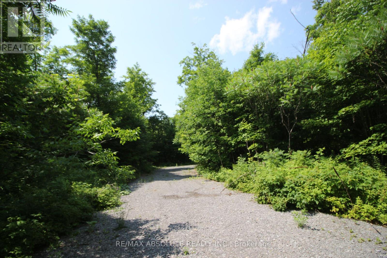 01 Carbine Road, Mississippi Mills, Ontario  K0A 2X0 - Photo 10 - X12261351