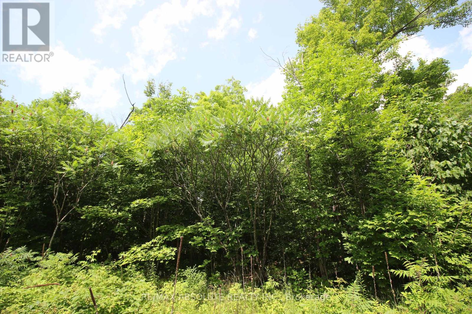 01 Carbine Road, Mississippi Mills, Ontario  K0A 2X0 - Photo 3 - X12261351