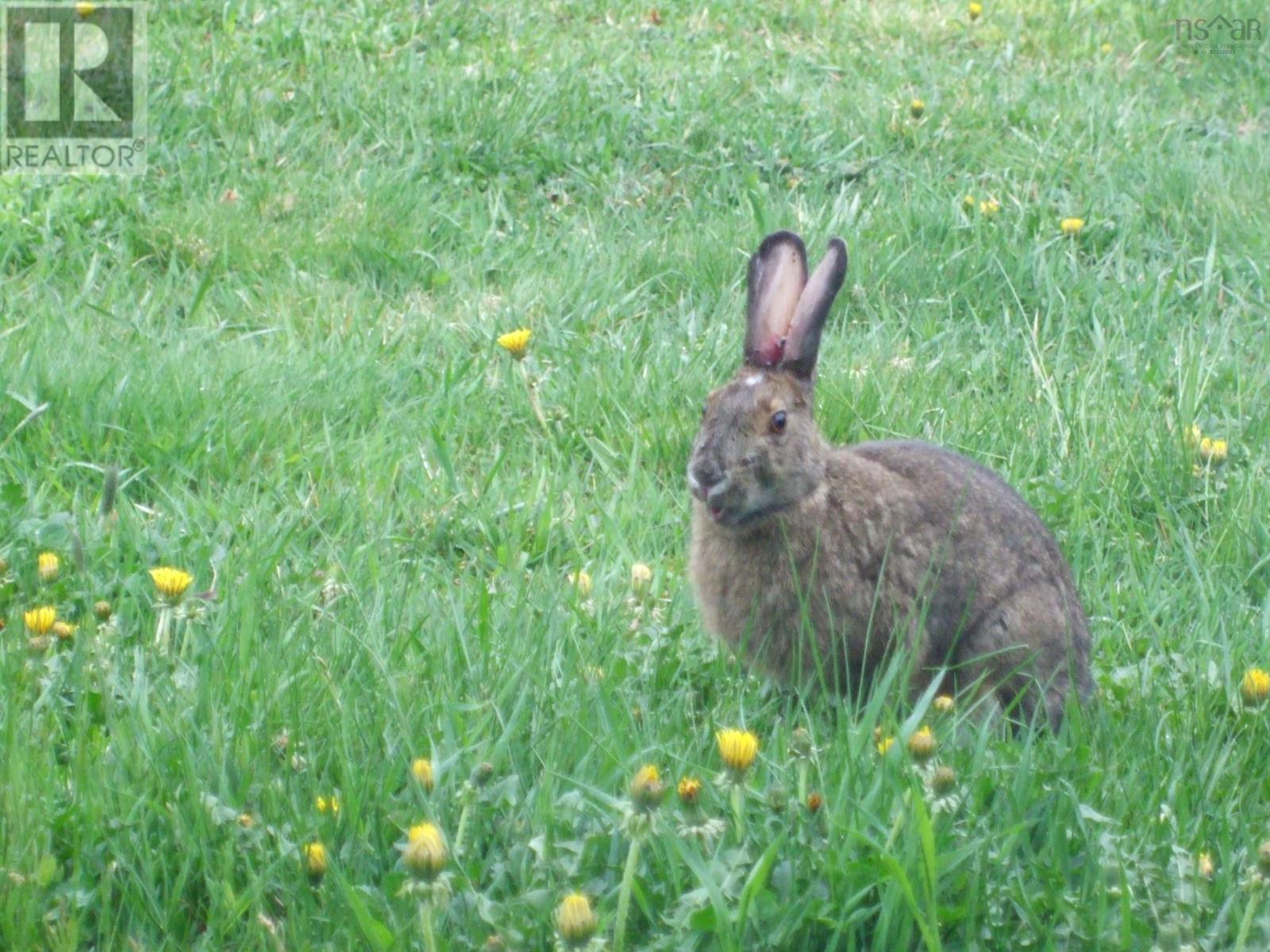 5047 Granville Road, Granville Ferry, Nova Scotia  B0S 1A0 - Photo 40 - 202510016