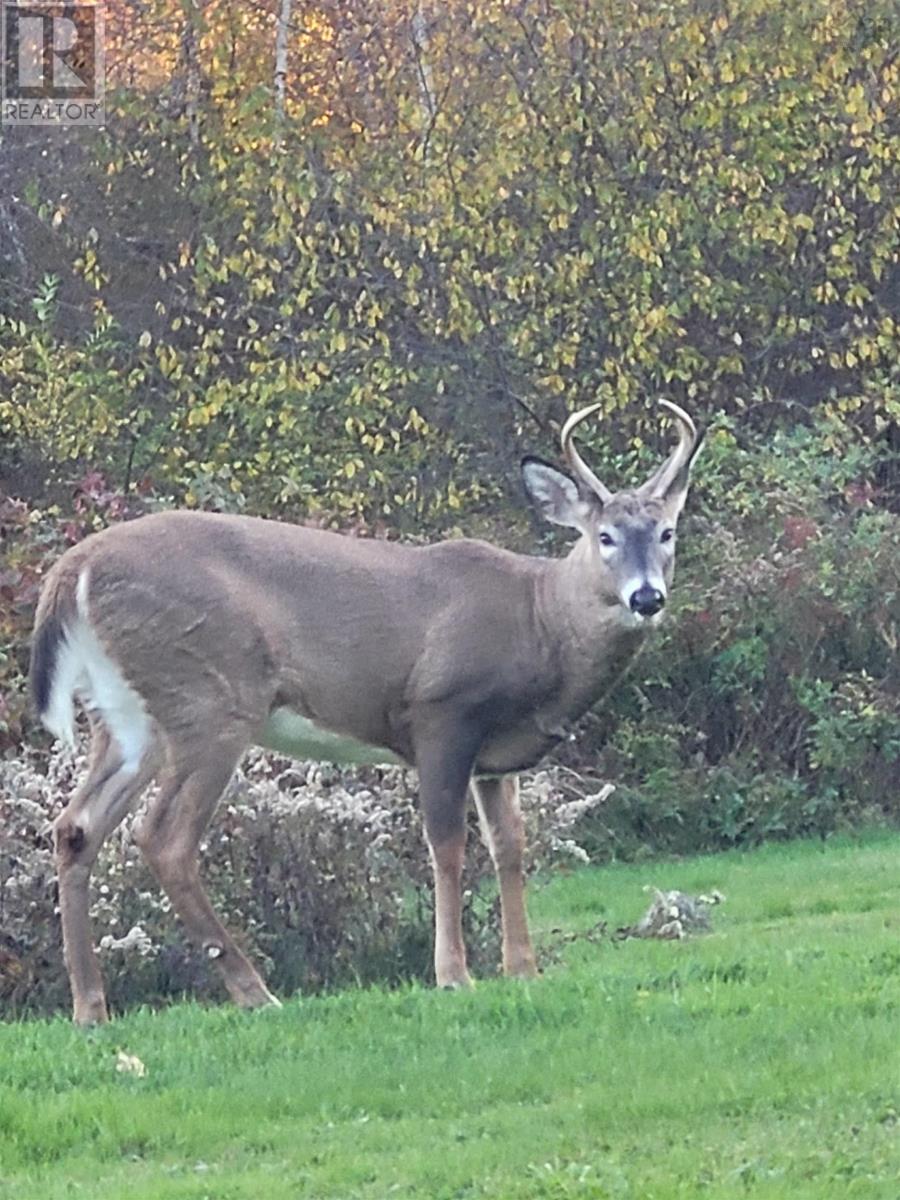 5047 Granville Road, Granville Ferry, Nova Scotia  B0S 1A0 - Photo 42 - 202510016
