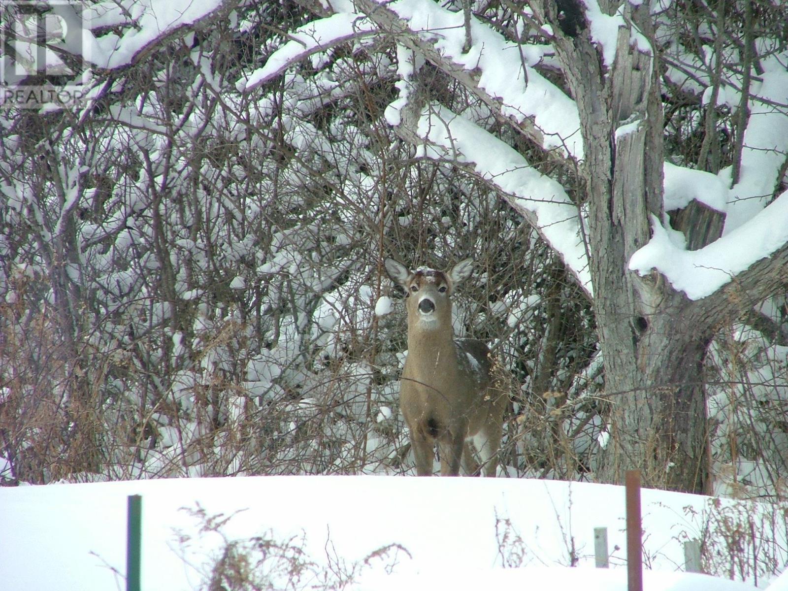 5047 Granville Road, Granville Ferry, Nova Scotia  B0S 1A0 - Photo 41 - 202510016