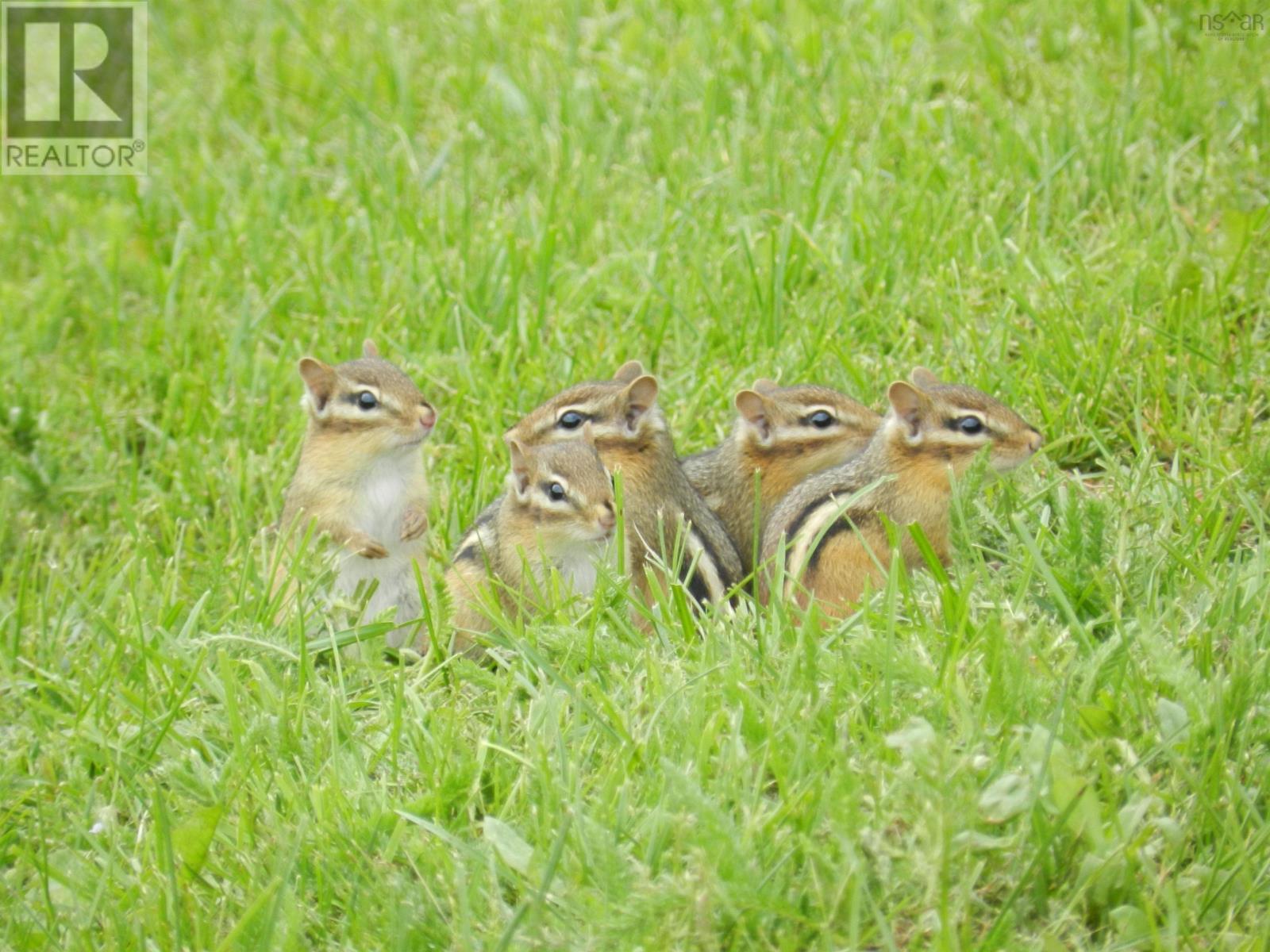 5047 Granville Road, Granville Ferry, Nova Scotia  B0S 1A0 - Photo 43 - 202510016