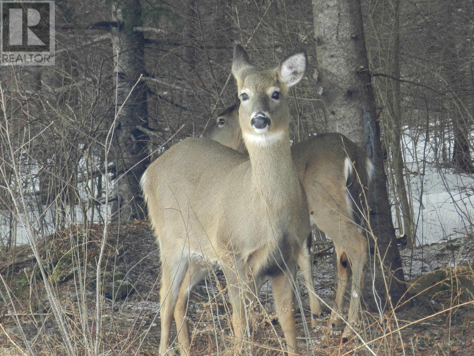 5047 Granville Road, Granville Ferry, Nova Scotia  B0S 1A0 - Photo 44 - 202510016