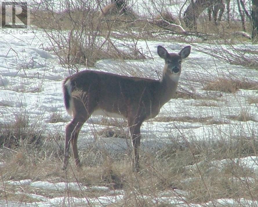 5047 Granville Road, Granville Ferry, Nova Scotia  B0S 1A0 - Photo 45 - 202510016