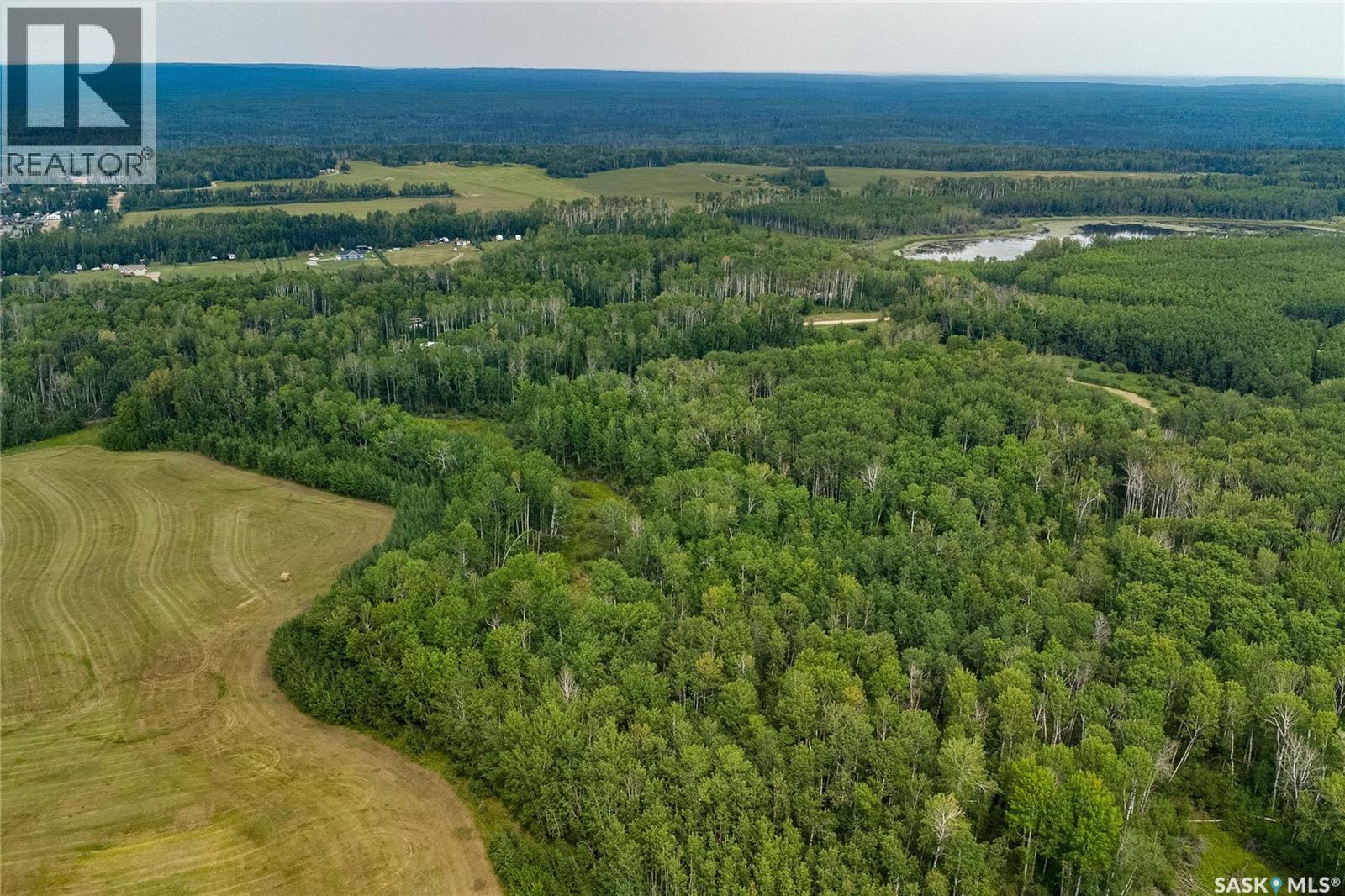Loiselle Land, Beaver River Rm No. 622, Saskatchewan  S0M 1A0 - Photo 5 - SK011486