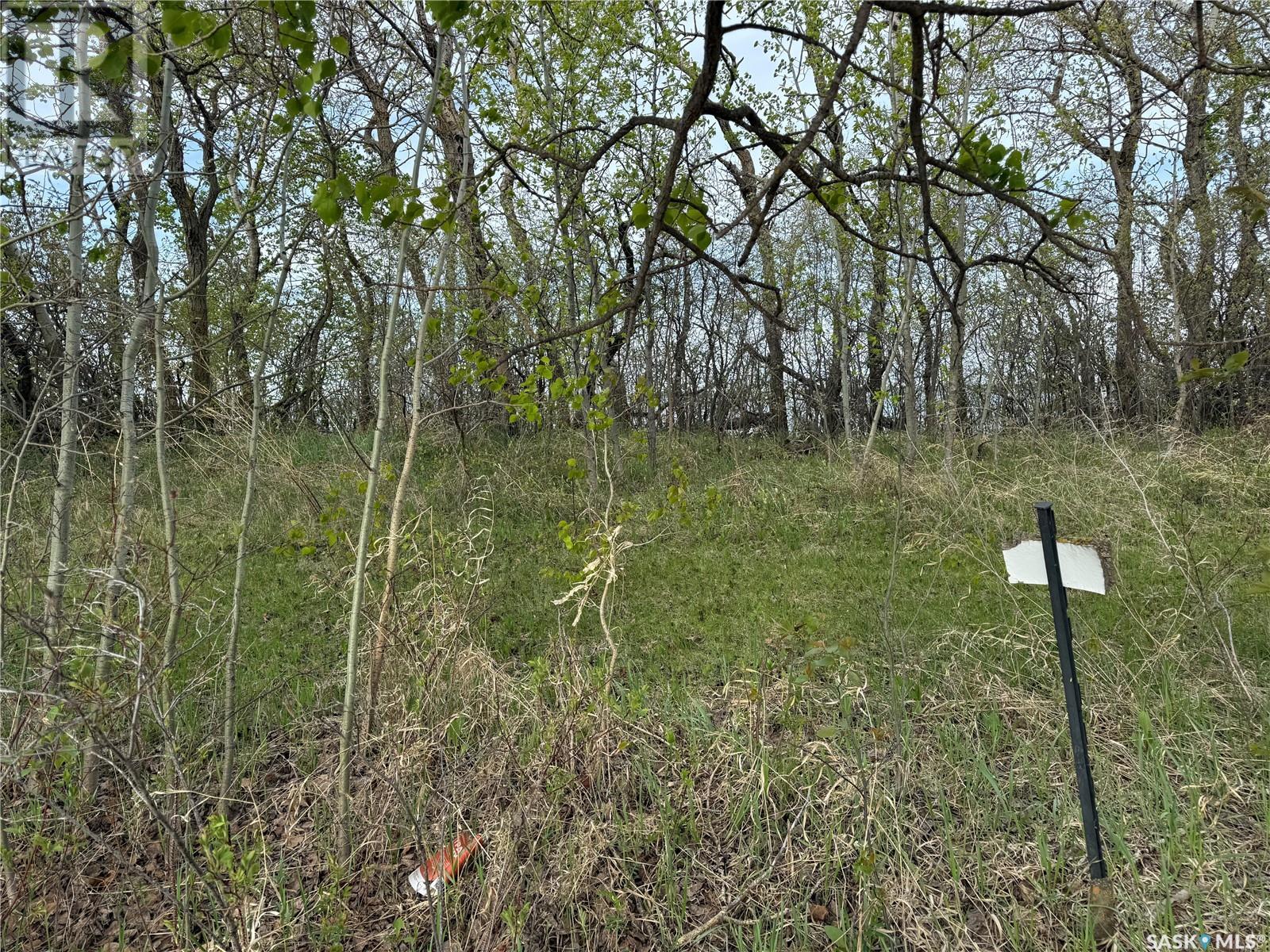 37 Pape Drive, Humboldt Rm No. 370, Saskatchewan  S0K 2A0 - Photo 15 - SK006252