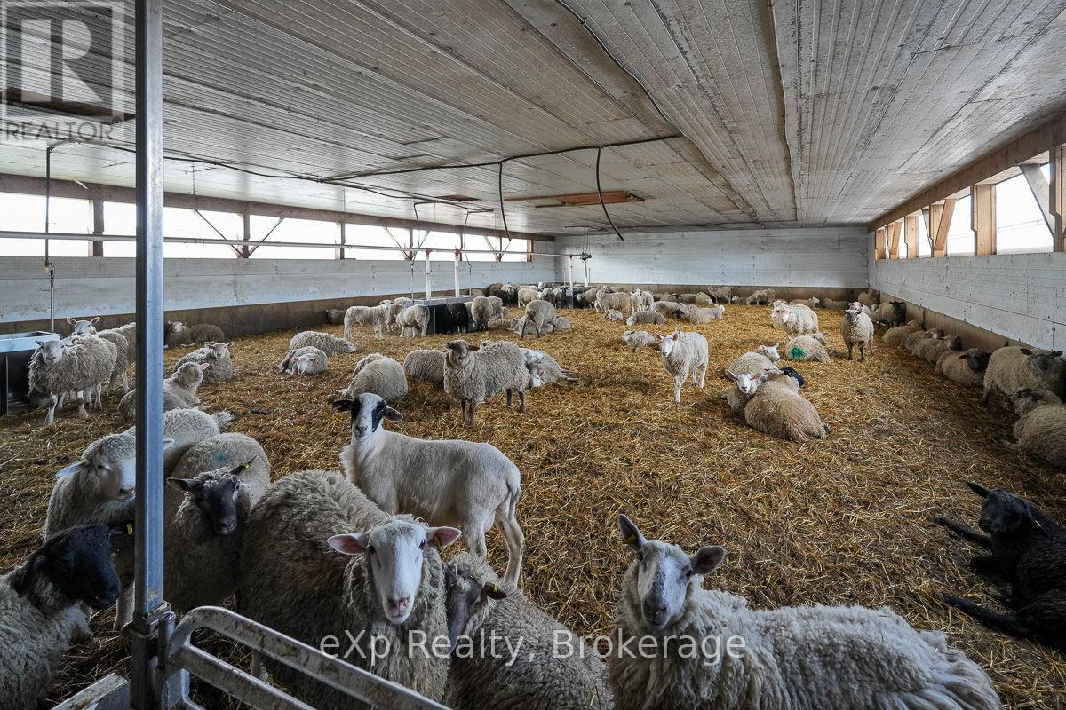 522357 Concession 12 Ndr, West Grey, Ontario  N0G 1S0 - Photo 6 - X12102310