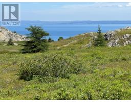 144-154 Bryants Cove Road, Upper Island Cove, Newfoundland & Labrador