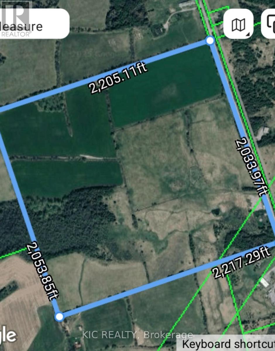 556 Fifth Line Rd Dum Road, Douro-Dummer, Ontario  K0L 3A0 - Photo 5 - X12185777