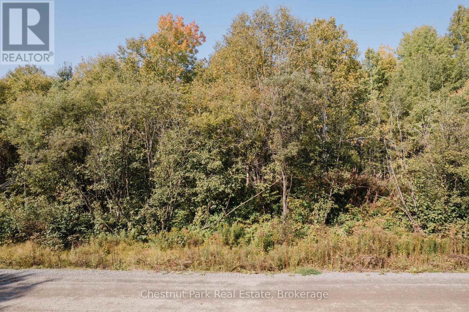 38 White Bear Court, Temagami, Ontario  P0H 2H0 - Photo 8 - X12259932