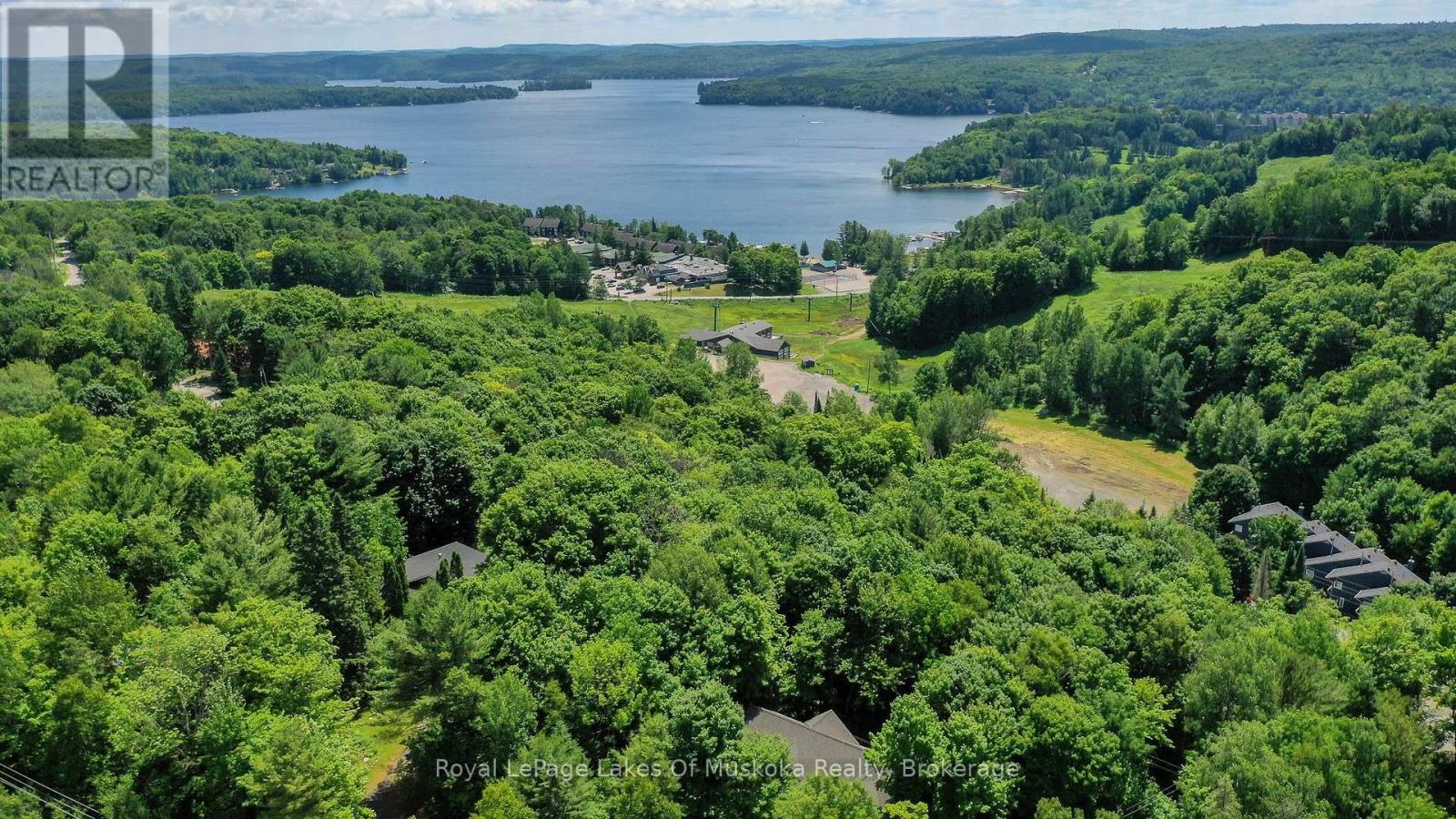 1601 Skyline Drive, Huntsville, Ontario  P1H 1A5 - Photo 45 - X12261893