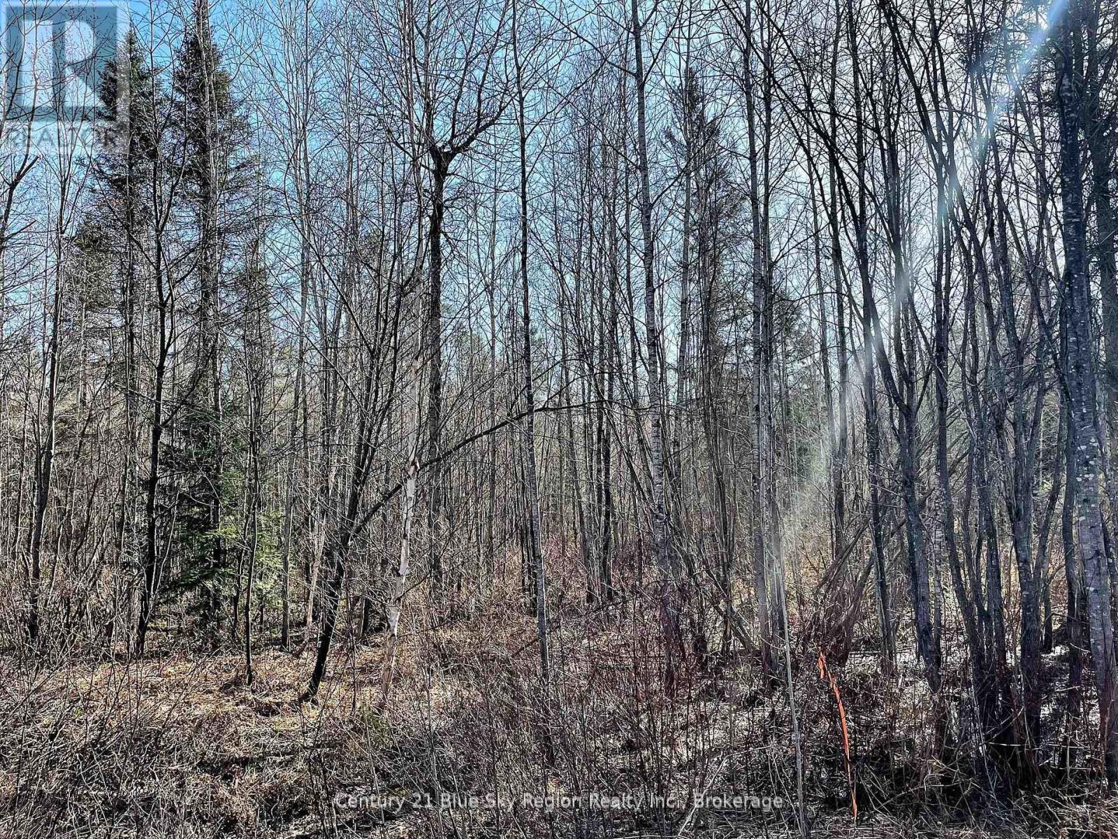 Part 2 Bourbonnais Road, West Nipissing, Ontario  P0H 1M0 - Photo 2 - X12262051