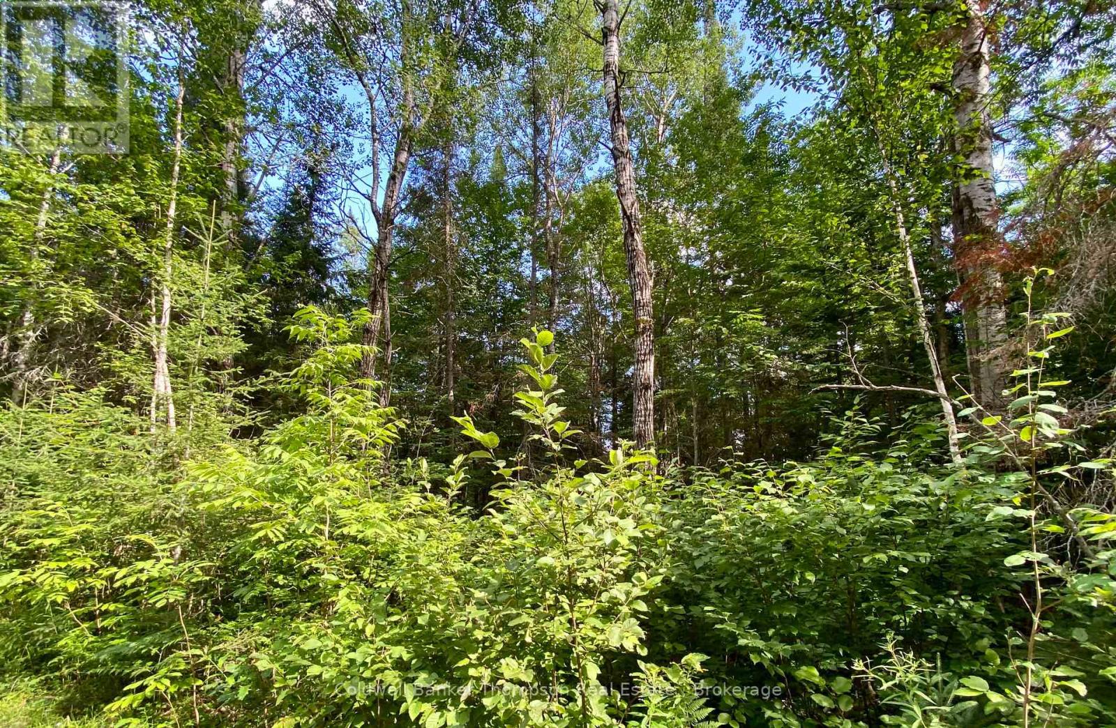 0 Conc. Rd 10 And 11 Concession N, Parry Sound Remote Area, Ontario  P0H 1A0 - Photo 10 - X12261970