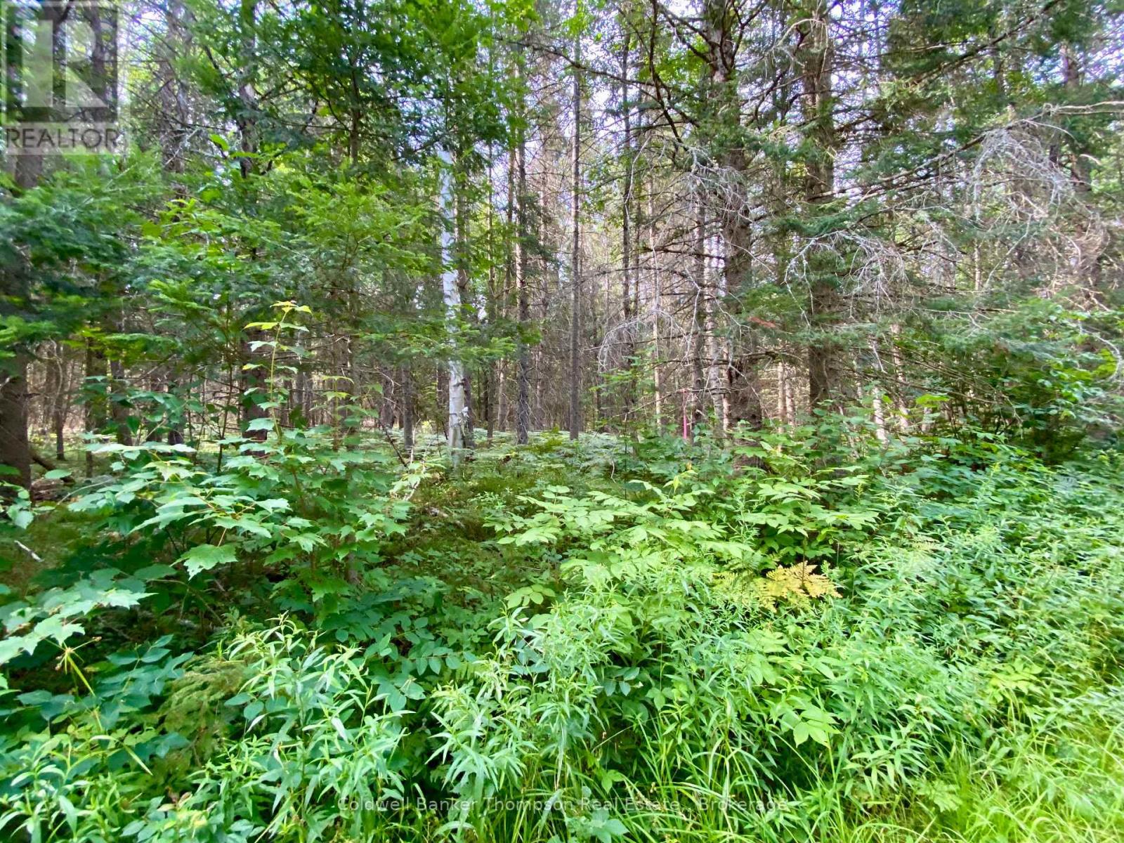 0 Conc. Rd 10 And 11 Concession N, Parry Sound Remote Area, Ontario  P0H 1A0 - Photo 13 - X12261970