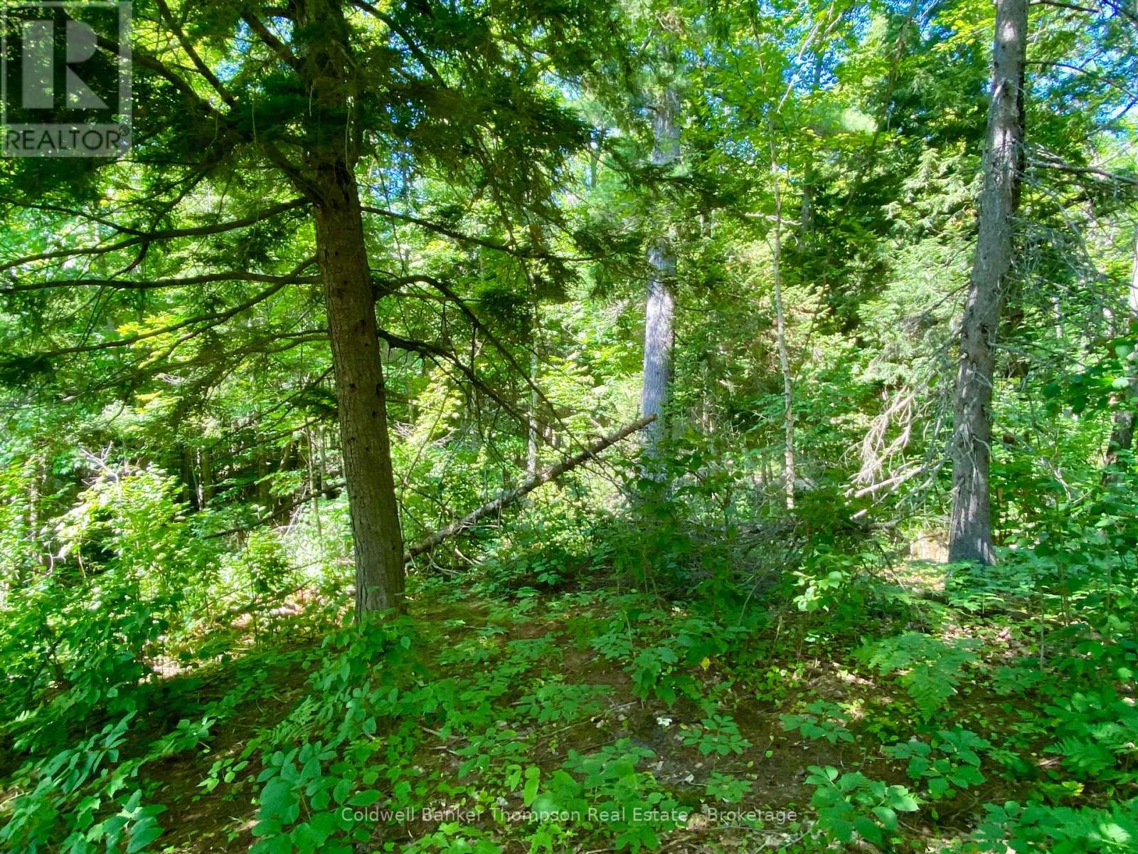 0 Conc. Rd 10 And 11 Concession N, Parry Sound Remote Area, Ontario  P0H 1A0 - Photo 2 - X12261970