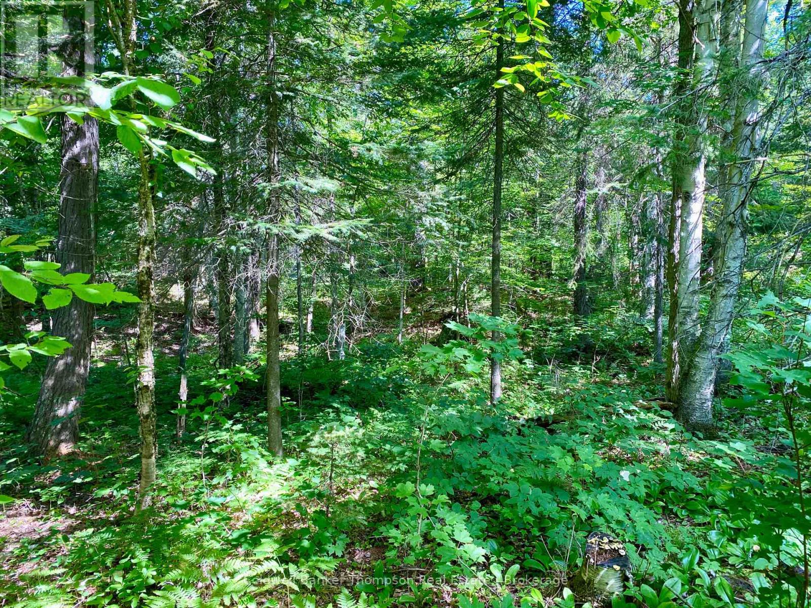 0 Conc. Rd 10 And 11 Concession N, Parry Sound Remote Area, Ontario  P0H 1A0 - Photo 3 - X12261970