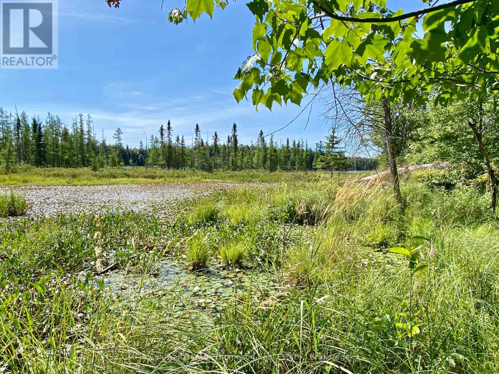 0 Conc. Rd 10 And 11 Concession N, Parry Sound Remote Area, Ontario  P0H 1A0 - Photo 5 - X12261970