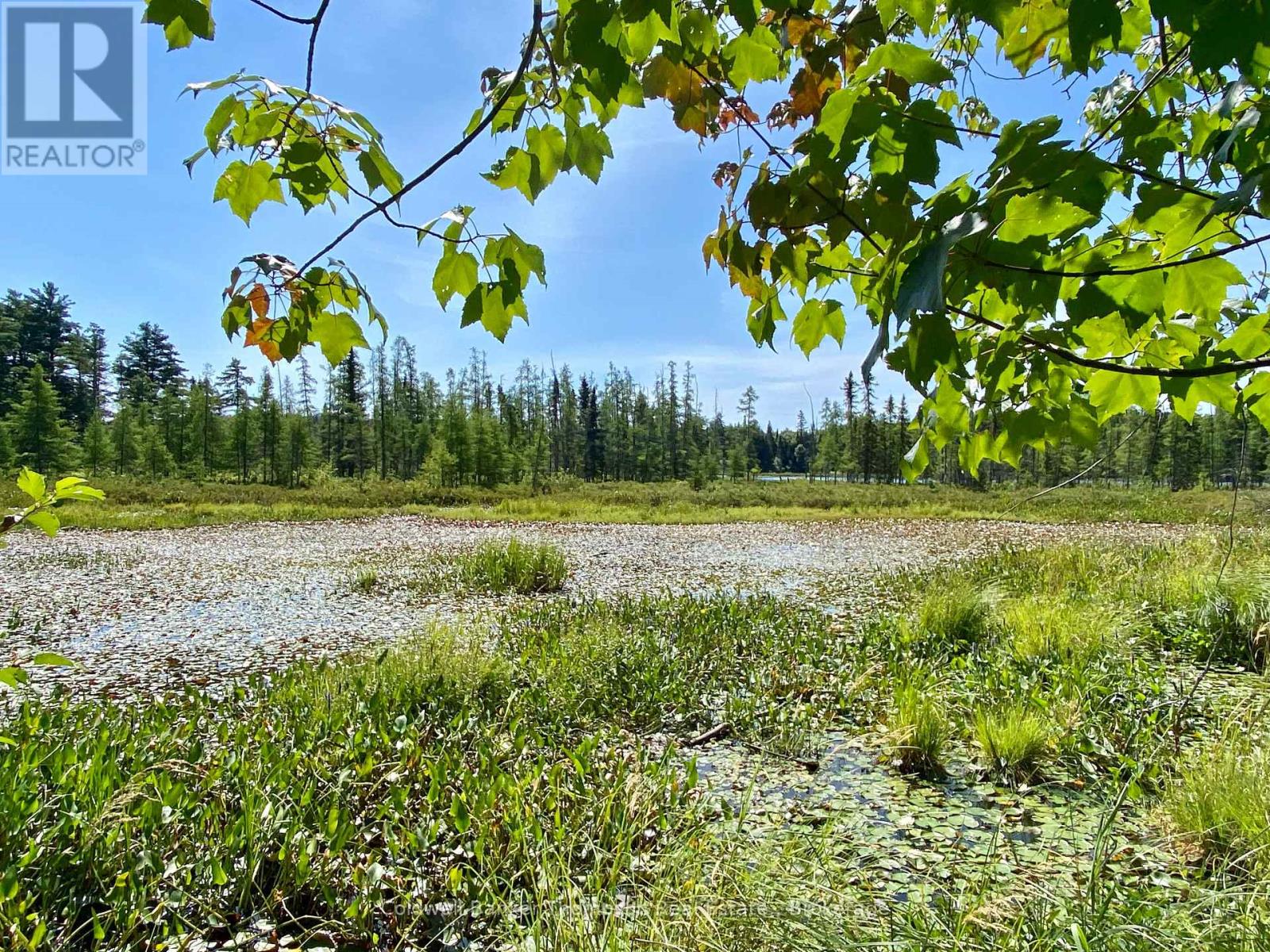 0 Conc. Rd 10 And 11 Concession N, Parry Sound Remote Area, Ontario  P0H 1A0 - Photo 6 - X12261970