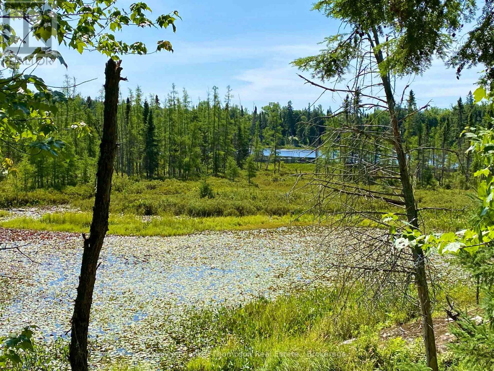 0 Conc. Rd 10 And 11 Concession N, Parry Sound Remote Area, Ontario  P0H 1A0 - Photo 7 - X12261970