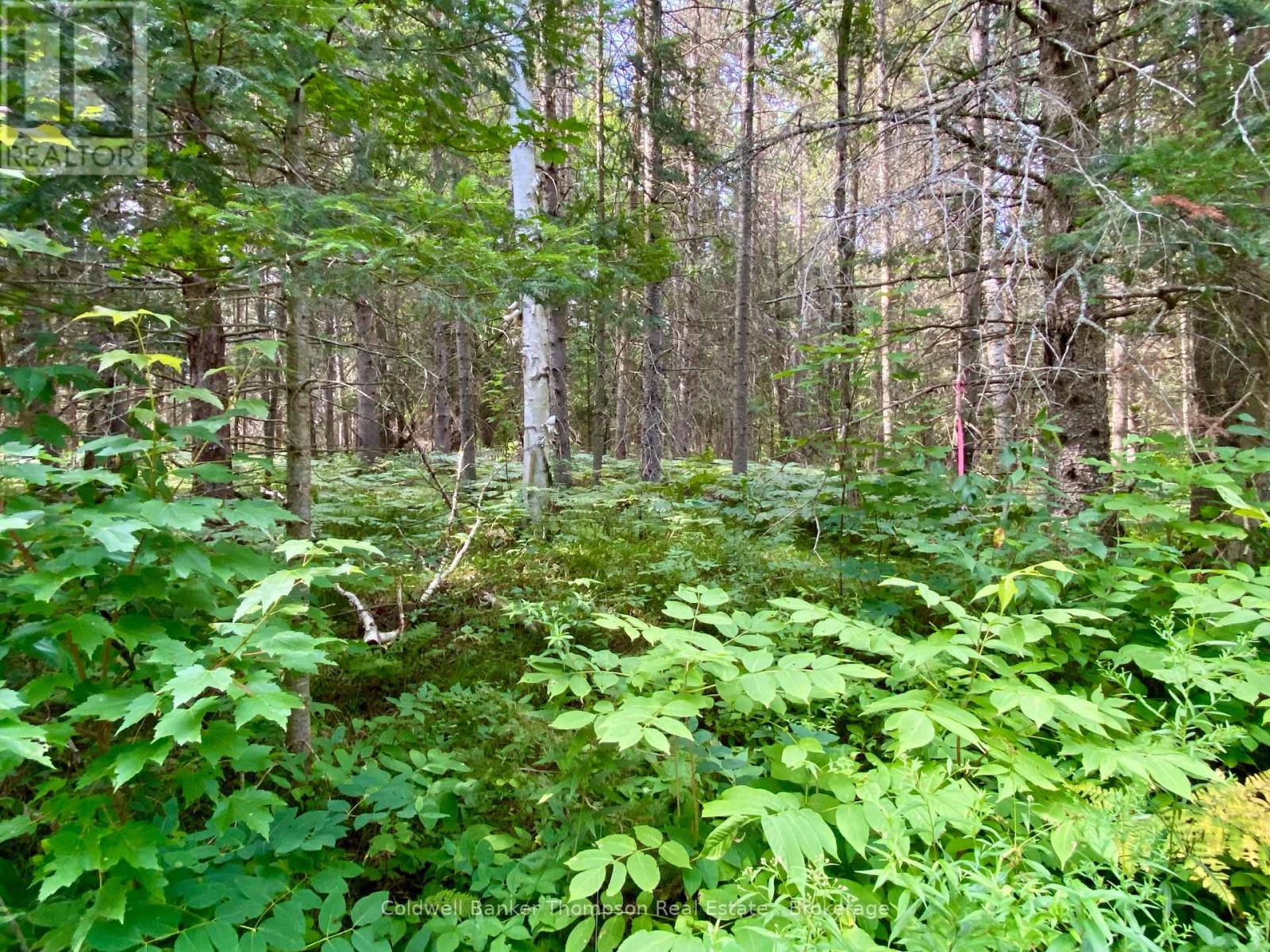 0 Conc. Rd 10 And 11 Concession N, Parry Sound Remote Area, Ontario  P0H 1A0 - Photo 8 - X12261970