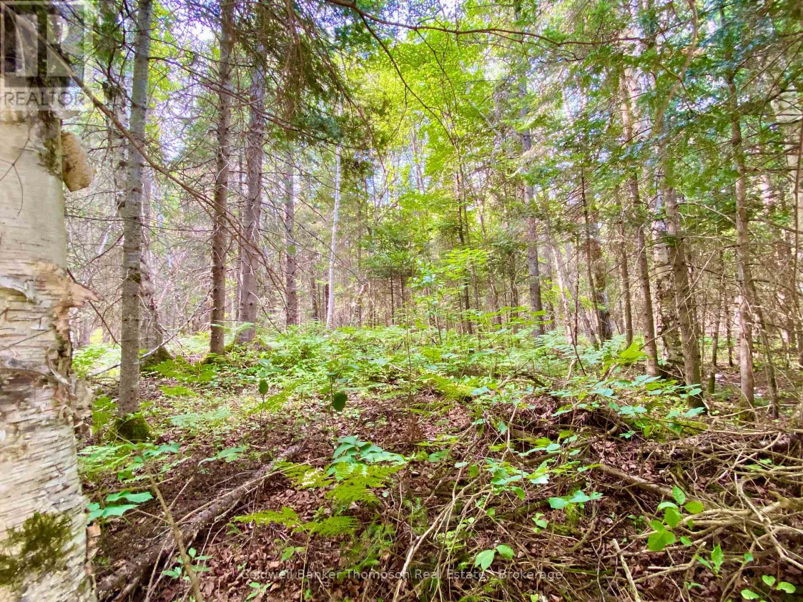 0 Conc. Rd 10 And 11 Concession N, Parry Sound Remote Area, Ontario  P0H 1A0 - Photo 9 - X12261970