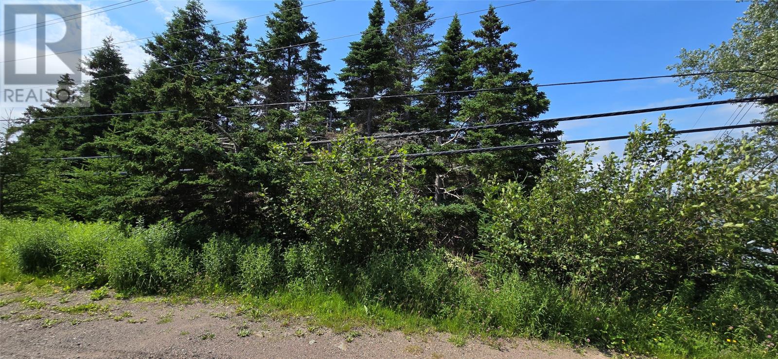 160-166 Creston Boulevard, Marystown, Newfoundland & Labrador  A0E 2M0 - Photo 4 - 1274657