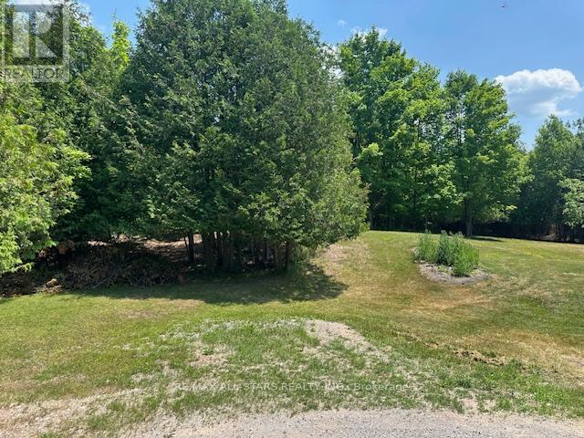 1177 County Rd 36, Trent Lakes, Ontario  K0M 1A0 - Photo 6 - X12262003