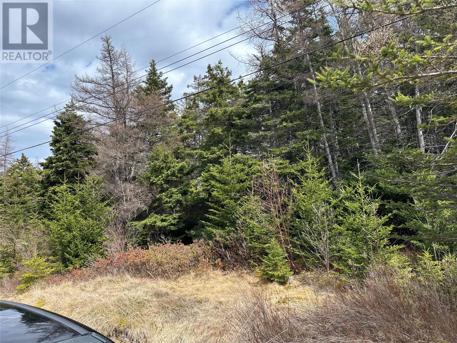 Property at 83-84 Conception Bay Highway image