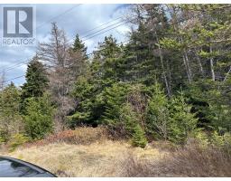 83-84 Conception Bay Highway, Colliers, Newfoundland & Labrador