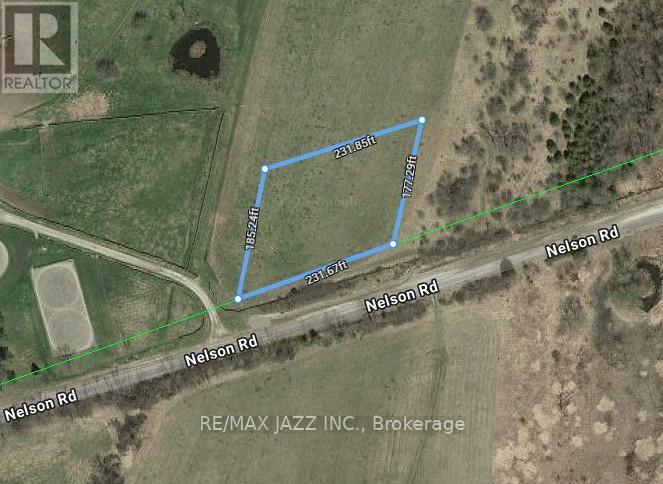 Lot 19 Conc 5 Nelson Road, Otonabee-South Monaghan, Ontario  K0L 2G0 - Photo 11 - X12262313