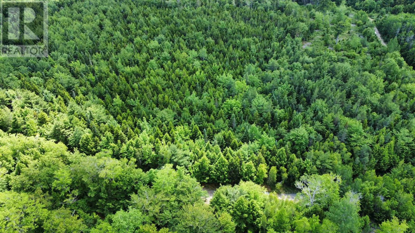 Lot 104 Arenburg Road, Buckfield, Nova Scotia  B4V 8M5 - Photo 17 - 202516418