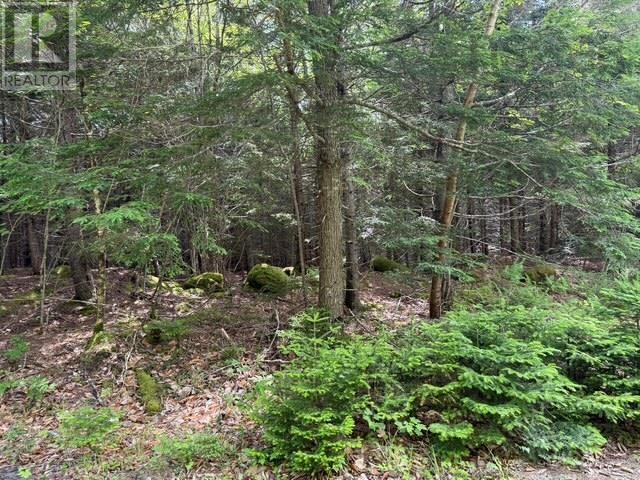 Lot 104 Arenburg Road, Buckfield, Nova Scotia  B4V 8M5 - Photo 15 - 202516418