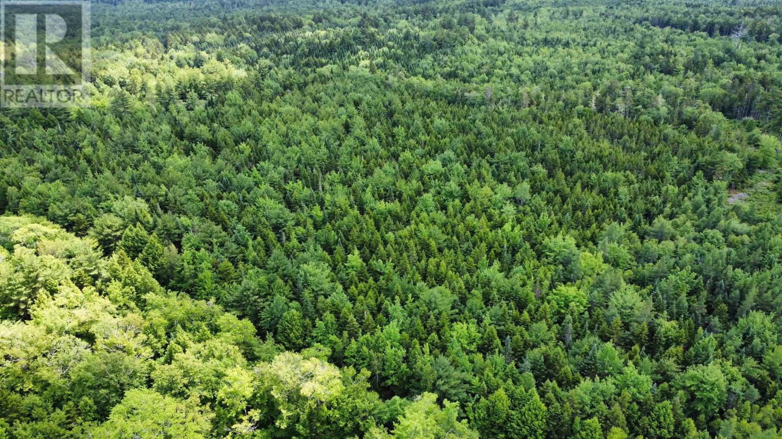 Lot 104 Arenburg Road, Buckfield, Nova Scotia  B4V 8M5 - Photo 19 - 202516418
