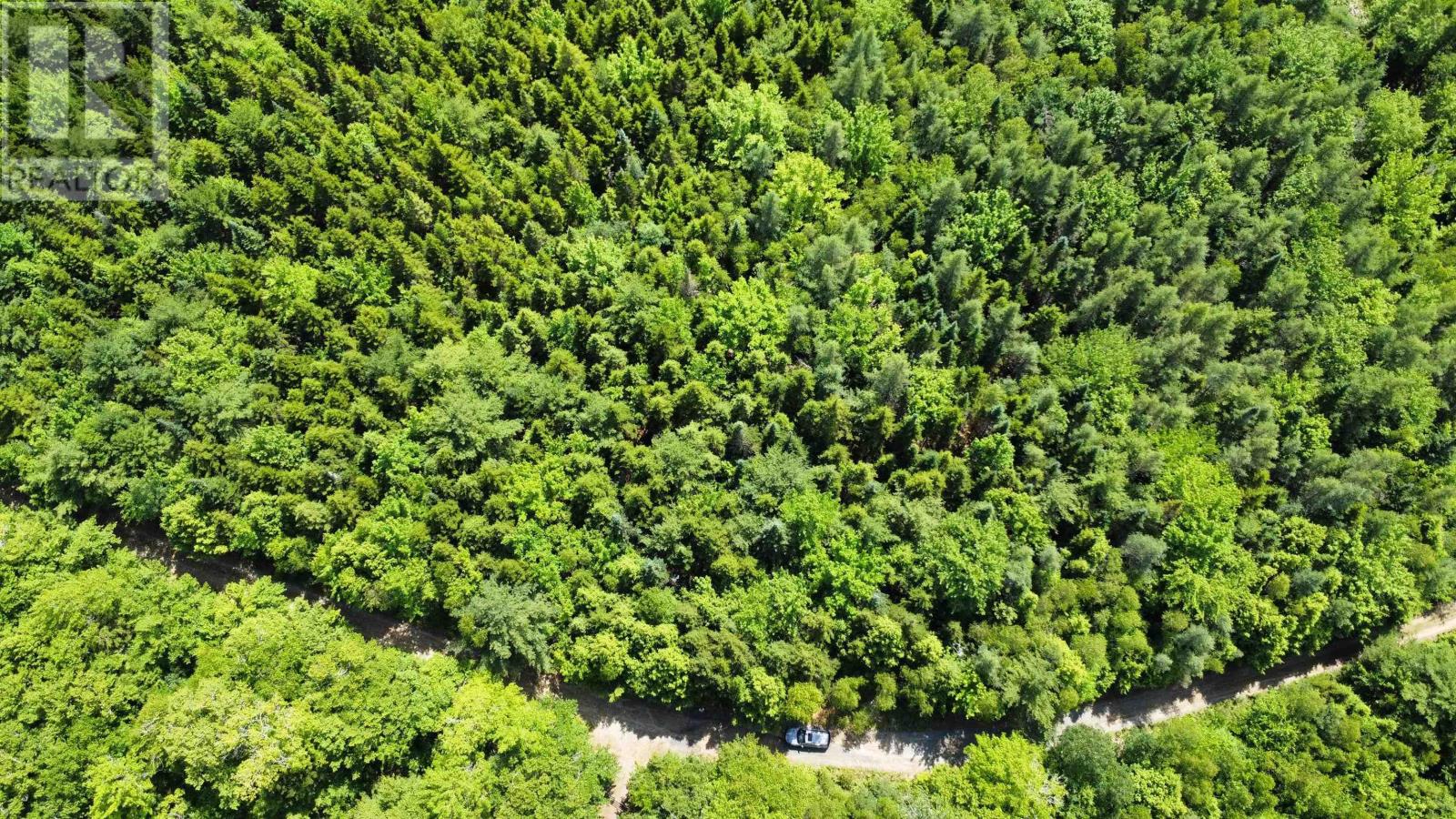 Lot 104 Arenburg Road, Buckfield, Nova Scotia  B4V 8M5 - Photo 28 - 202516418