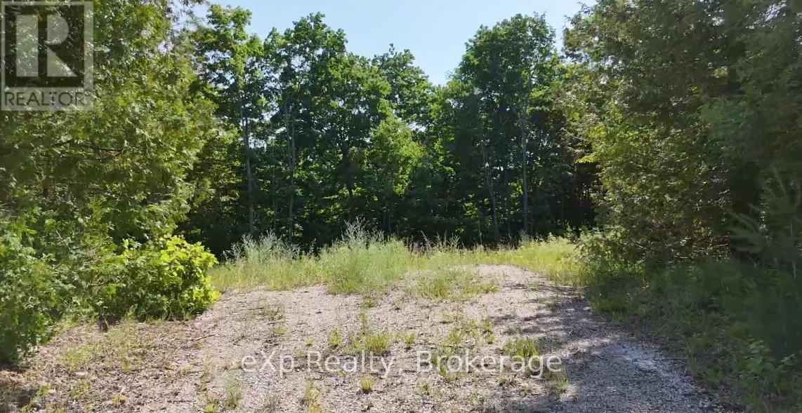Lot 15 Scotts Hill Road, West Grey, Ontario  N4N 3B9 - Photo 2 - X12262515