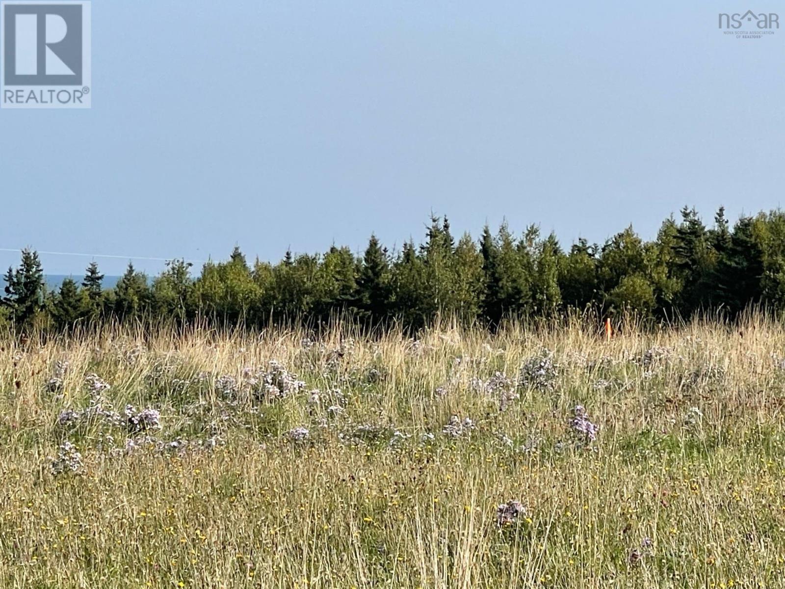 Lot 16 Beach Chair Lane, Pugwash, Nova Scotia  B0K 1L0 - Photo 17 - 202516581