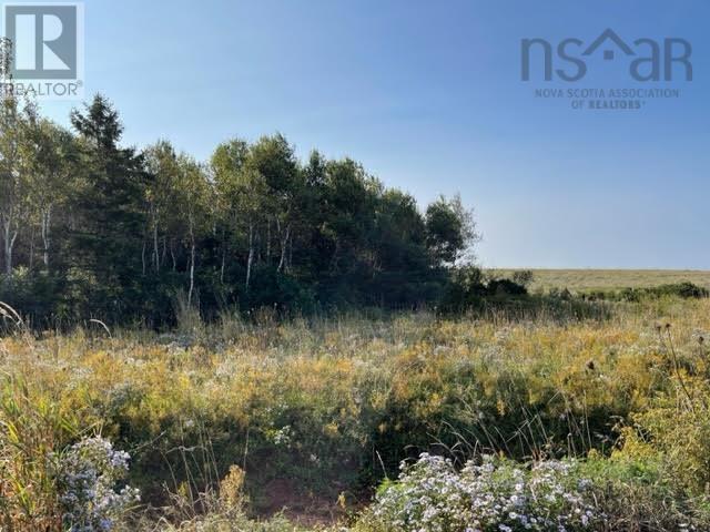 Lot 21 Beach Chair Lane, Pugwash, Nova Scotia  B0K 1L0 - Photo 10 - 202516588